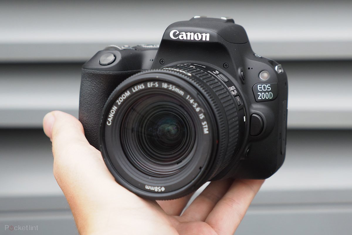 Most Affordable Canon Cameras in 2020